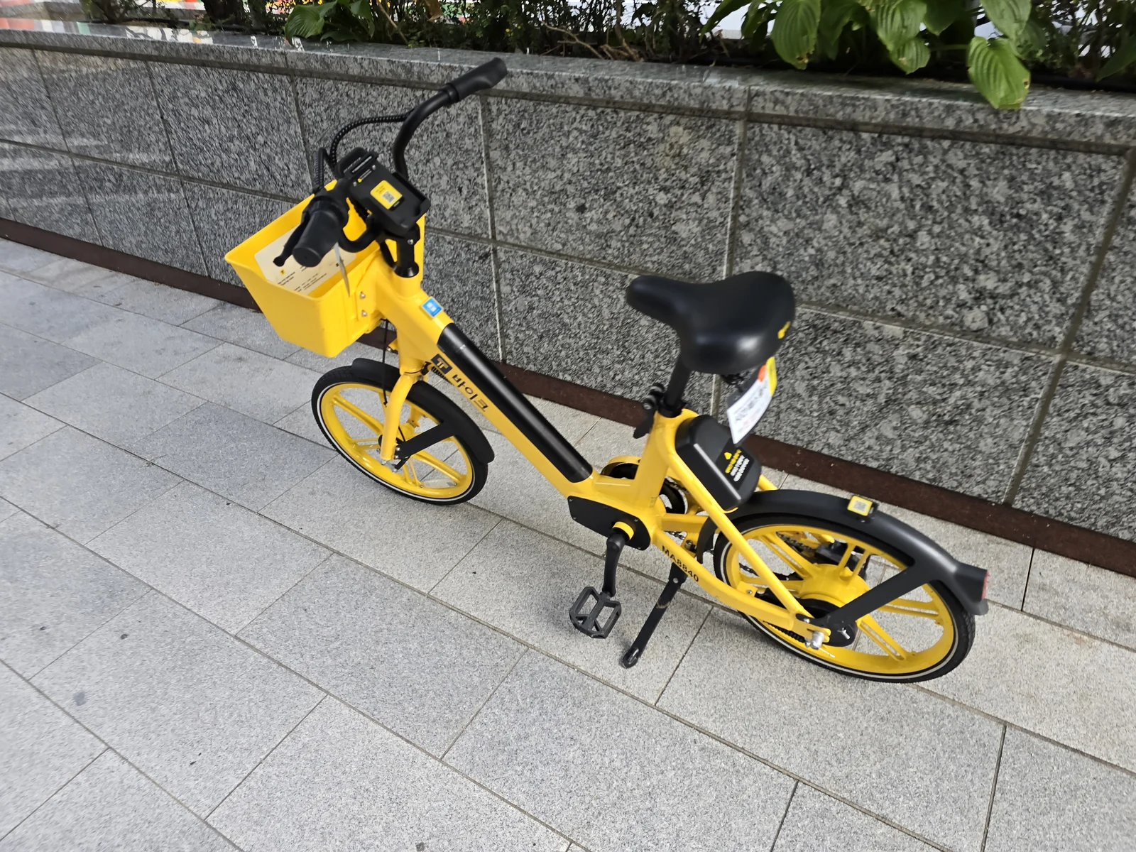 石壁のそばに置かれた、前かご付きの黄色いKakao Tシェア自転車